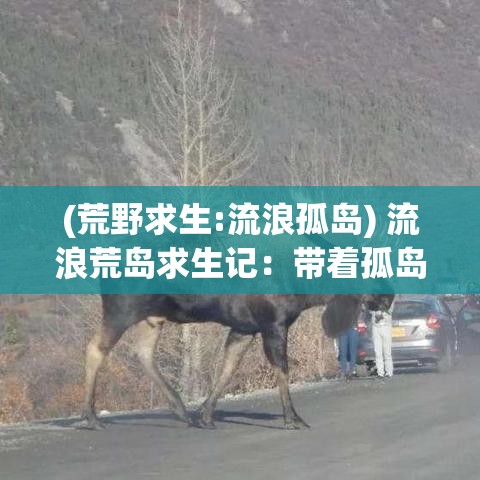 (荒野求生:流浪孤岛) 流浪荒岛求生记：带着孤岛足球，与威尔逊一起觅食、探险的无人之旅。重现人性与自然的独特对话。